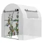 Invernadero de Jardín 180x180x200 cm Invernadero de Túnel Pequeño con Puerta Enrollable y Ventana de Malla Blanco