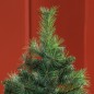 Árbol de Navidad Árbol de Navidad