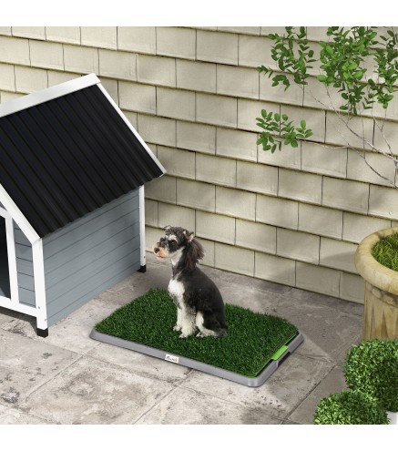Inodoro para Perros