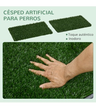 Inodoro para Perros
