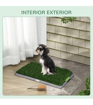Inodoro para Perros