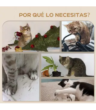 Estantes para Gatos
