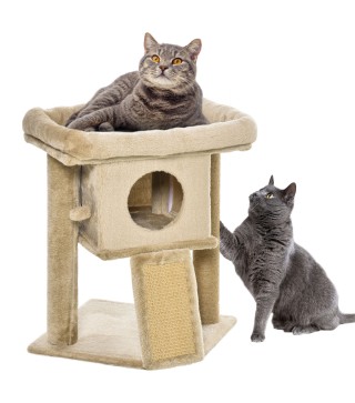 Árbol para Gatos