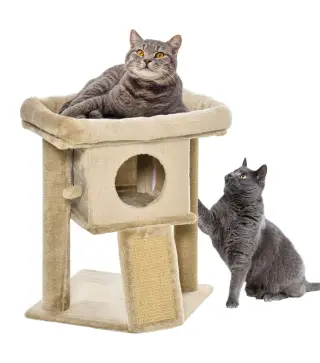 Árbol para Gatos