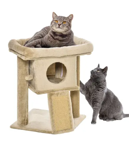 Árbol para Gatos