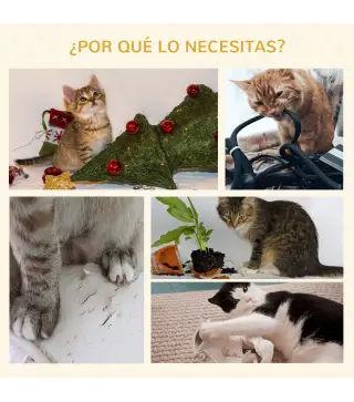 Árbol para Gatos