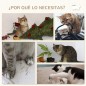 Estanterías para Gatos
