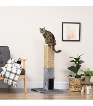Poste Rascador Gatos