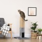 Poste Rascador Gatos