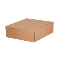 Caja Presentacion
