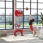 Canasta de Baloncesto Canasta de Baloncesto