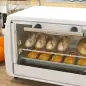 Horno Eléctrico Sobremesa 10L 750W Horno Eléctrico Pequeño Temperatura 230 ℃ y Temporizador 36,5x26x22 cm Blanco