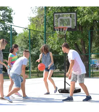 Canasta de Baloncesto con Altura Ajustable 206-260 cm Aro de Baloncesto con Ruedas y Base Rellenable Negro