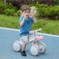 Bicicleta sin Pedales Bicicleta sin Pedales