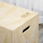 Cajón Pliométrico Cajón Pliométrico
