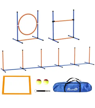 Conjunto de Entrenamiento