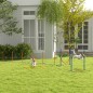 Conjunto de Entrenamiento Conjunto de Entrenamiento