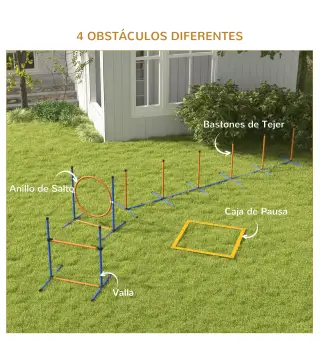 Conjunto de Entrenamiento