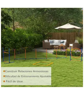 Conjunto de Entrenamiento