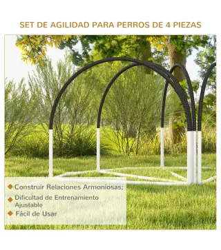 Conjunto de Entrenamiento