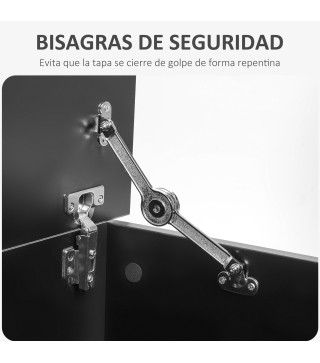Baúl de Almacenaje