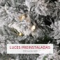 Árbol de Navidad Árbol de Navidad