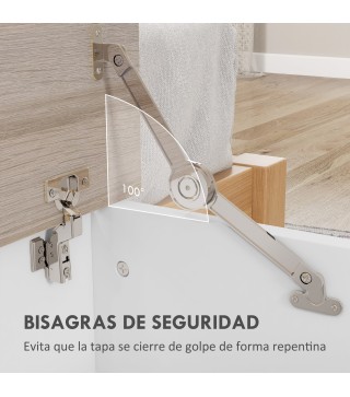 Baúl de Almacenaje