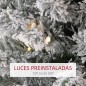 Árbol de Navidad Árbol de Navidad