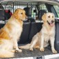 Separador para Perros Separador para Perros