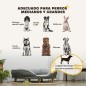Sofá para Mascotas Sofá para Mascotas