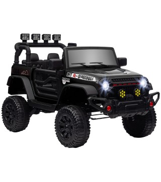 Coche Eléctrico