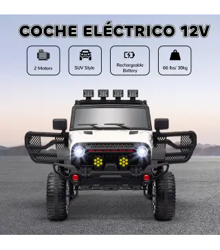 Coche Eléctrico