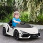 Coche Eléctrico Infantil