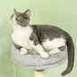 Árbol para Gatos
