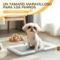 Inodoro para Perros con Bandeja para Entrenamiento de Cachorros en Exterior e Interior 63x48,5x6 cm Gris