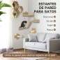 Estantes para Gatos