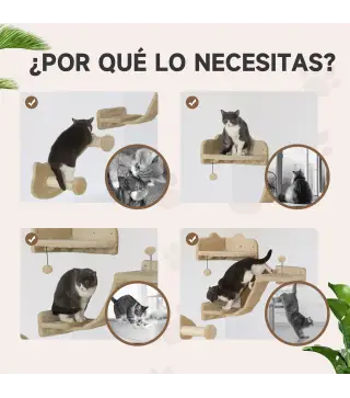 Estantes para Gatos