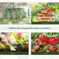 Invernadero de Exterior con Cubierta Doble Ventanas y Marco de Acero para Cultivar Plantas Flores 180x90x90 cm Verde