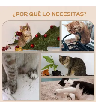 Estanterías para Gatos
