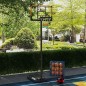 Canasta de Baloncesto Canasta de Baloncesto