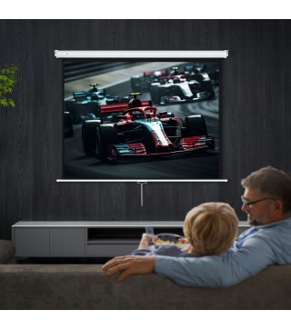 Pantalla Proyector