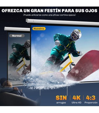 Pantalla Proyector