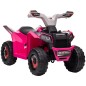 Quad Eléctrico Quad Eléctrico