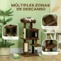 Árbol Rascador para Gatos 104 cm con Plataformas Poste con Cepillo Bolas Colgantes y Almohadilla para Rascar Marrón