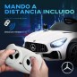 Coche Eléctrico Niños Coche Eléctrico Niños