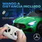 Coche Eléctrico para Niños de +3 Años Mercedes-Benz AMG GTR con Batería 12V Mando a Distancia Faros Bocina Música Verde
