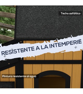Casa para Gatos