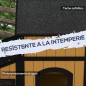 Casa para Gatos Casa para Gatos