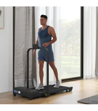 Cinta de Correr Cinta de Andar Plegable 2,5 HP con Pantalla LED Velocidad Ajustable Max. 10 km/h Control Remoto Negro