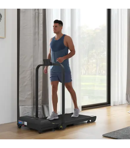 Cinta de Correr Cinta de Andar Plegable 2,5 HP con Pantalla LED Velocidad Ajustable Max. 10 km/h Control Remoto Negro